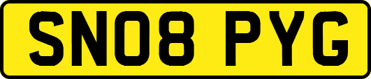 SN08PYG