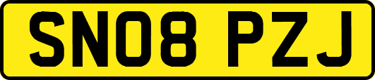 SN08PZJ