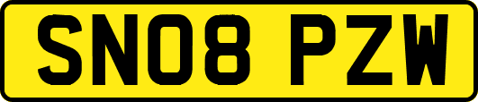 SN08PZW