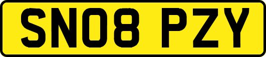 SN08PZY