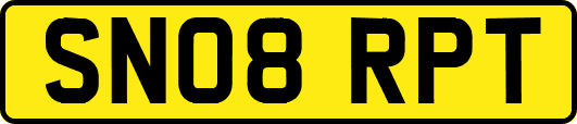 SN08RPT