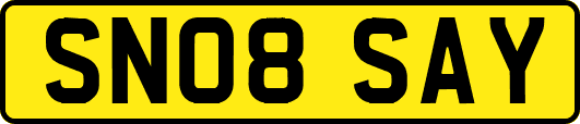 SN08SAY