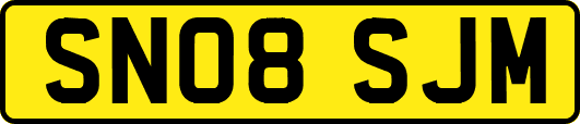 SN08SJM