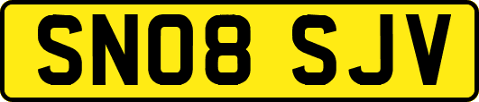 SN08SJV