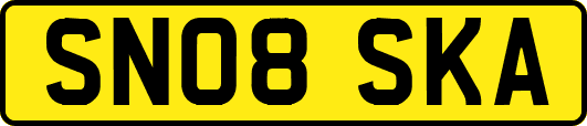 SN08SKA