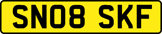 SN08SKF