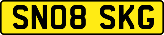 SN08SKG