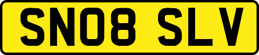 SN08SLV