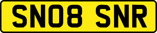 SN08SNR