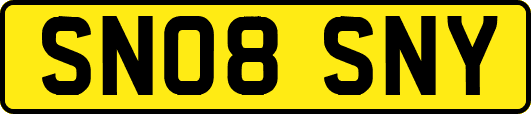 SN08SNY