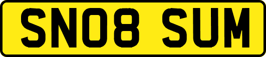 SN08SUM