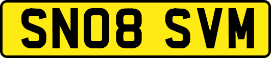 SN08SVM