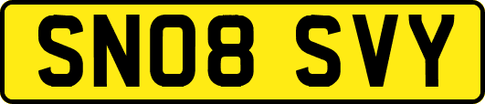 SN08SVY