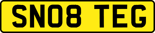 SN08TEG