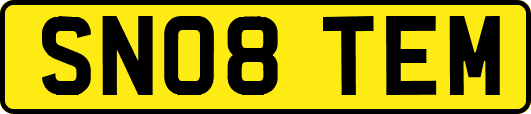 SN08TEM