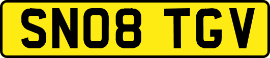SN08TGV