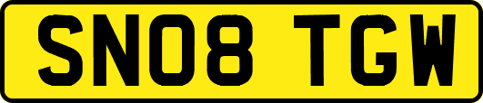 SN08TGW