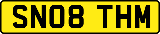 SN08THM