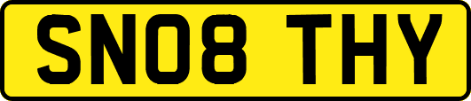SN08THY