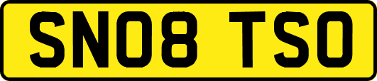 SN08TSO