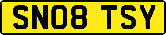 SN08TSY