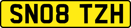 SN08TZH