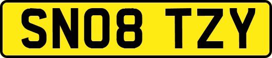 SN08TZY