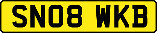 SN08WKB