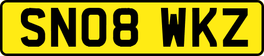 SN08WKZ