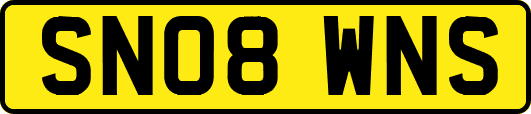 SN08WNS