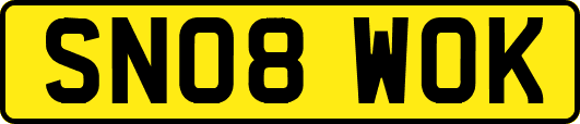SN08WOK