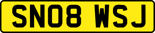 SN08WSJ