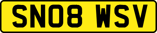 SN08WSV