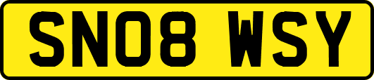 SN08WSY