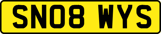 SN08WYS