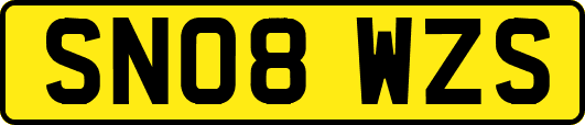 SN08WZS