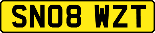 SN08WZT