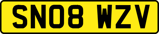 SN08WZV