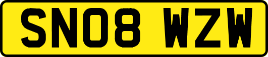 SN08WZW
