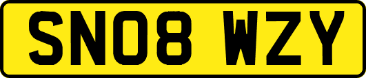 SN08WZY