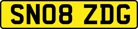 SN08ZDG