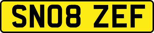 SN08ZEF
