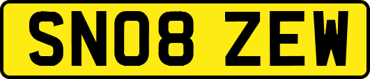 SN08ZEW