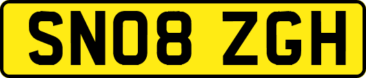 SN08ZGH
