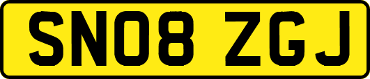 SN08ZGJ