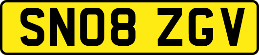 SN08ZGV