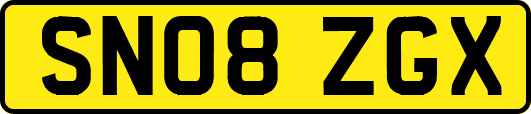 SN08ZGX