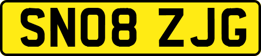 SN08ZJG