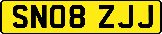 SN08ZJJ