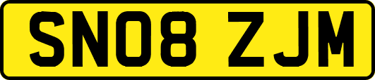 SN08ZJM